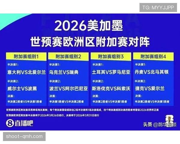 波黑国家队2026世界杯预选赛突围前景分析 黄金一代能否创造历史